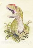 Юрський період: Динозаври та інші давні тварини. Хуан Карлос Алонсо, Грегорі Пол. Зображення №10