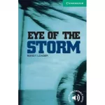 CER 3 Eye of the Storm