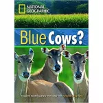 FRL1600 B1 Blue Cows?