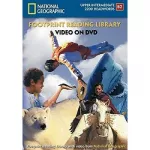 FRL2200 B2  DVD