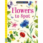 Minis: Flowers to Spot