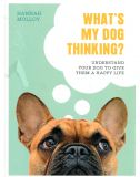 What's My Dog Thinking?: Understand Your Dog to Give Them a Happy Life