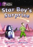 Big Cat  8 Star Boy's Surprise. Workbook.
