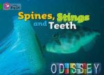 Big Cat  5 Spines, Stings and Teeth. Workbook.