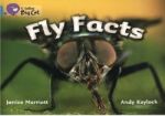 Big Cat  7 Fly Facts. Workbook.